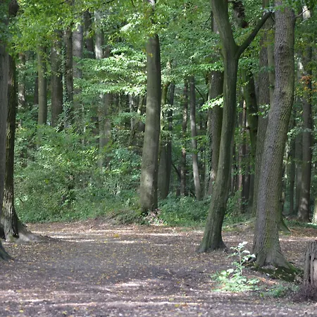 Hotel Haus Mariengrund