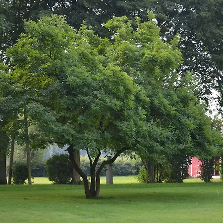 Haus Mariengrund 3* Munster (North Rhine-Westphalia)