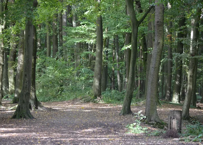 Hotell Haus Mariengrund