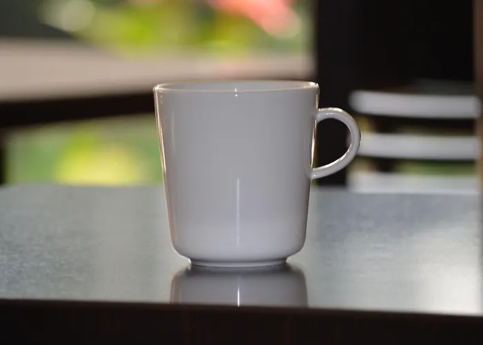 Haus Mariengrund Hotell Munster (North Rhine-Westphalia)