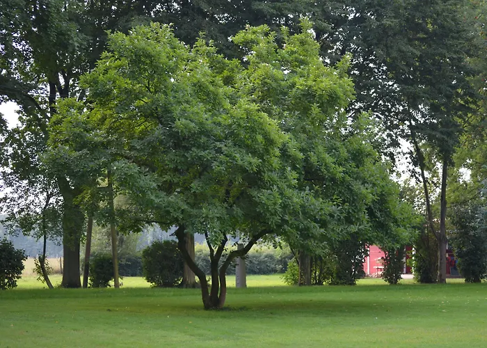 Haus Mariengrund 3* Munster (North Rhine-Westphalia)