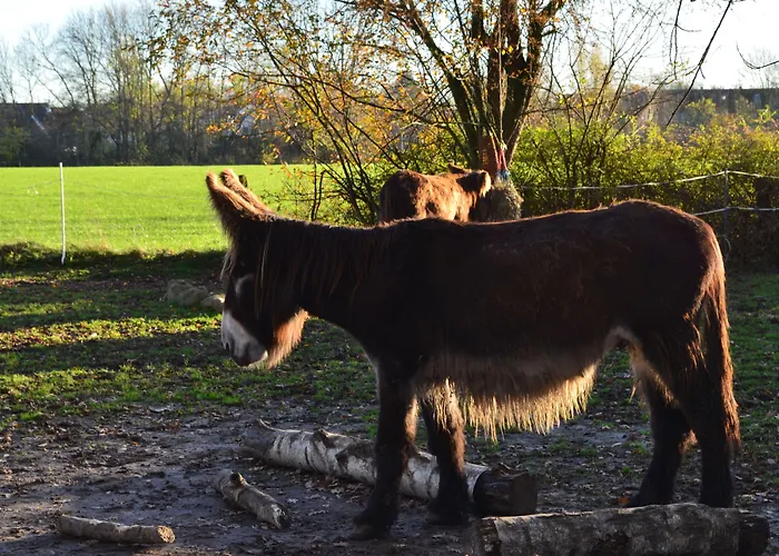 Hotel Haus Mariengrund Munster (North Rhine-Westphalia)